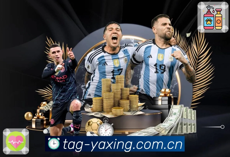 赛事服务系统展示