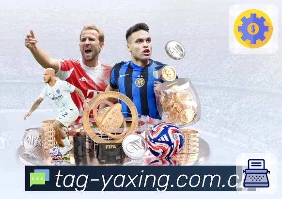 比赛页更新认证展示